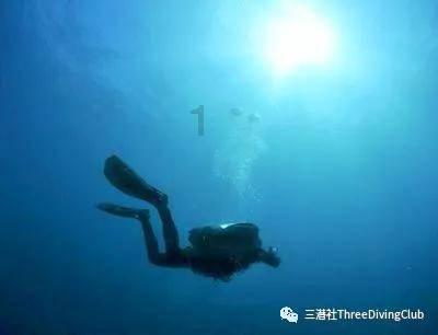 媒体人:扬科维奇这莫名其妙的首发,让人想起《吻别》里一句歌词